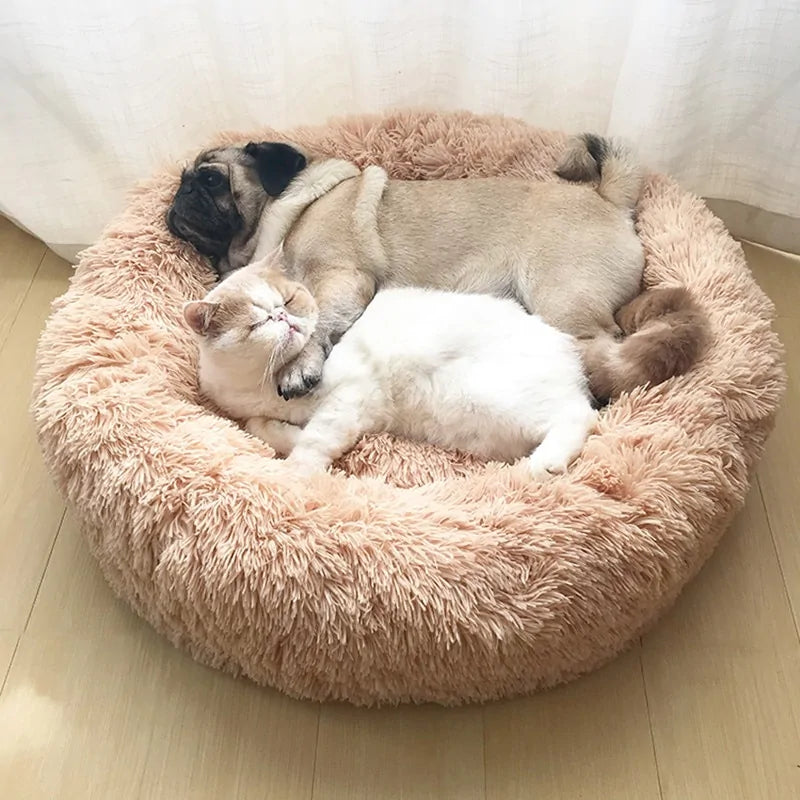 Plush Pet Bed
